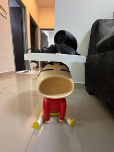 Shinchan homestay