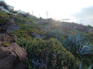 Sunset House Sardinia img45