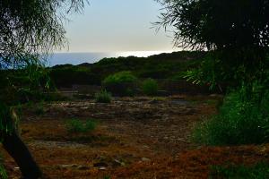 Sunset House Sardinia img31