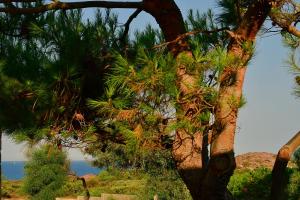 Sunset House Sardinia img32