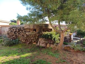 Sunset House Sardinia img37