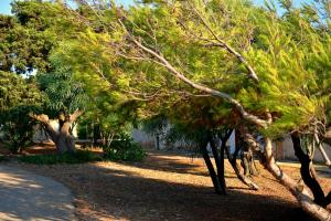 Sunset House Sardinia img36