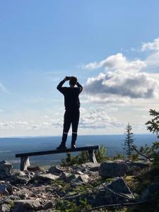 Luxury log villa with hot tub