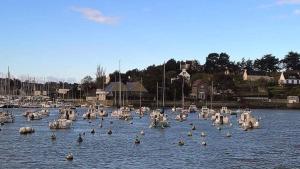 Duplex Atypique Au Port de Dahouet