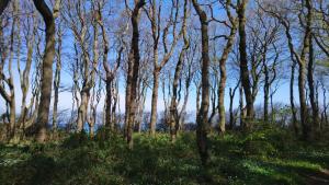 Villa Strandnah WE 08 Sommertraum