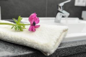 Residenz Seestern WE 16 - Penthouse "Ostseemöwe"