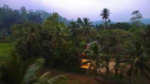Rainforest Royal Heritage
