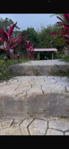 Green View Nature Glamping Cocorná