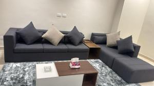 Luxury Apartment in Cairo