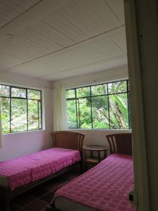 Aire puro paz y belleza natural, descanso total