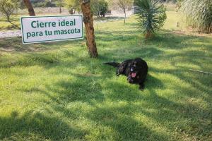 Cabaña Crisma - San Rafael Mendoza