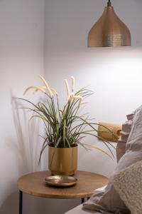 Ca lEli Loft