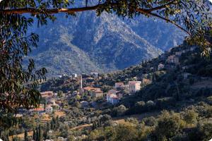 Domaine U Filanciu - Centru di Corsica
