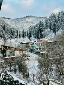 Prime Residence Likani