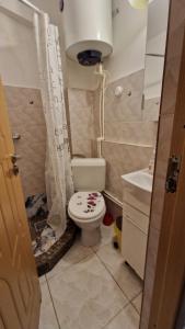 Apartament Faleza Tiglina