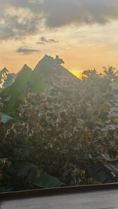 Ubud Villa, 3 Bdr beautiful rice fields view & pool
