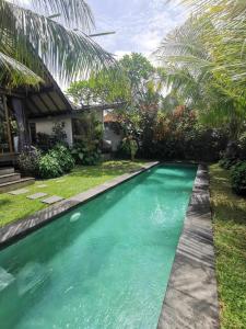 Ubud Villa, 3 Bdr beautiful rice fields view & pool