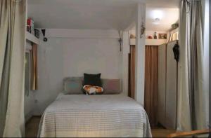 Beautiful little cabin & garden