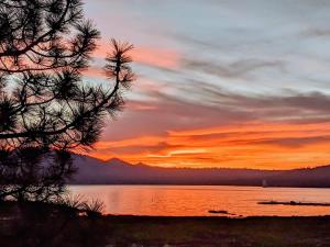 175 - Eagle Escape on Big Bear Lake