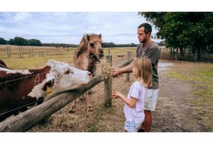 Discovery Parks Margaret River