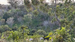 Beautiful view cabin in Boquete