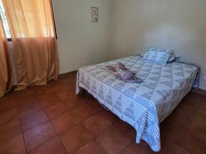 Cristales de Antigua Candelaria