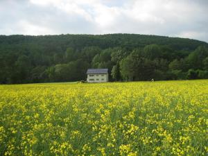 Ferienwohnung im Dachgeschoss, Homberg