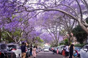 Iconic Elizabeth Bay Pad