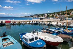 Apartments in Selce 41696