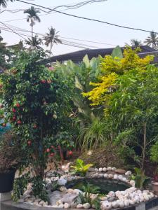 Shivoham Homestay