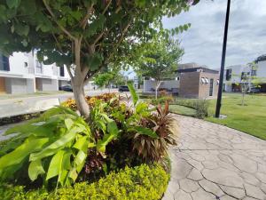 House across from Nuevo Vallarta, Nay 3 bedrooms Private pool