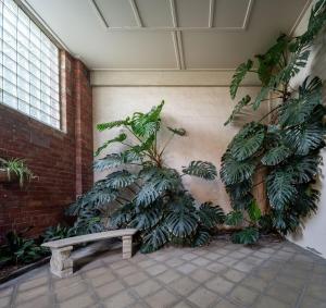 Spacious 3BR House - Private Library & Free Wifi