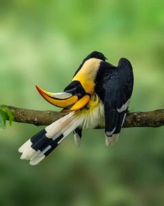 The wild camps riverside