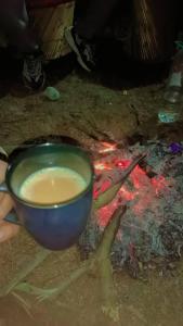 The wild camps riverside