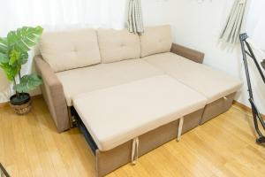 Best for road trip to Fuji area