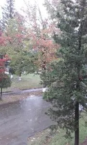 Apartment on Kolkheti Street 1 - Tsqaltubo