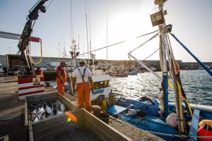 Arguineguín Bay Apartments