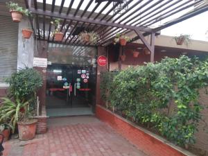 Hotel Black swan
