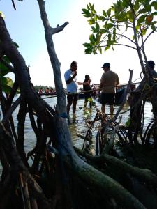 Lagoon lake side