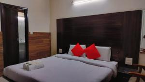 McLeod Ganj Best hotel Royal india #Cheapest hotel #Mountain View# Near Dalai Lama temple 100m