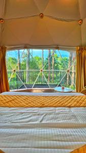 The Edens Glamp Munnar