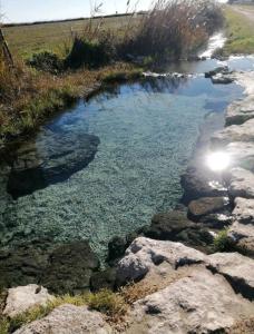 Shanti - Mare, Lago di Bolsena, Terme di Vulci