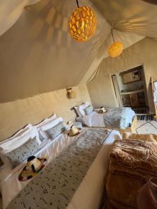 Eternal Luxury Camp