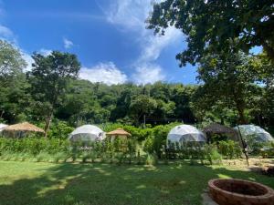 The Forest Camp Khaoyai เดอะฟอเรสแคมป์ เขาใหญ่
