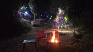 The City Escape Farmstay