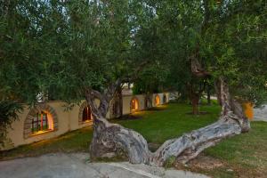 Seydnaya Apartments & Studios