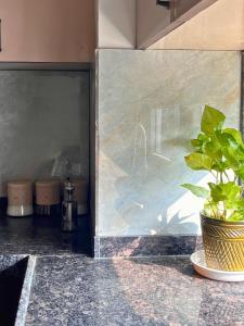 The Fall House By Sajo living
