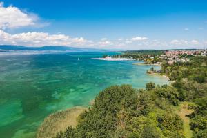 Guesthouse La Moliere, 3 bedrooms, private house, horse farm, full nature