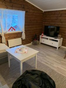 Cozy cabin in Ljørdalen