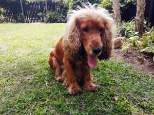 BillsBest Weavers Nest